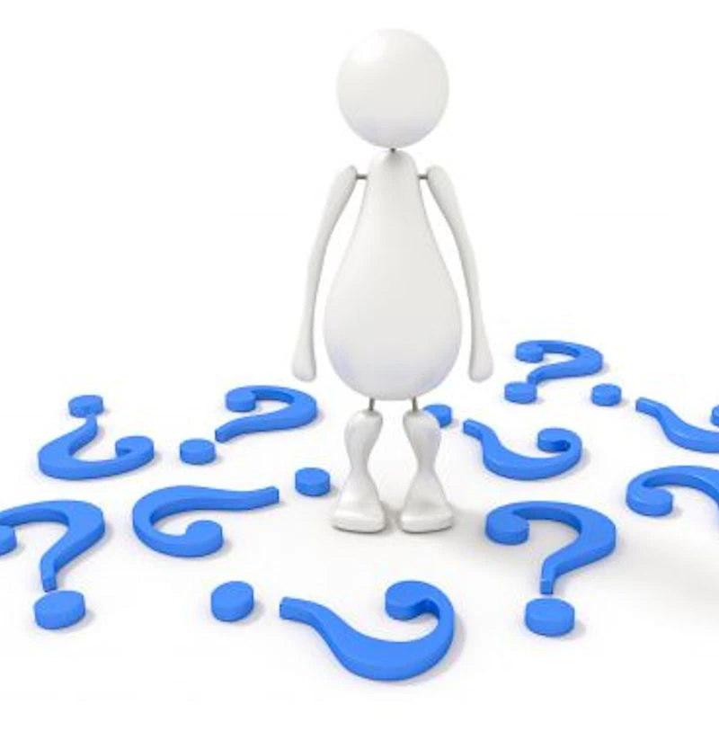 Schwarzer Gartenbambus Pillar 80-100cm - Fargesia Nitida 3 Schwarzer Gartenbambus Pillar 80-100cm - Fargesia Nitida